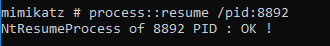 process::resume command execution